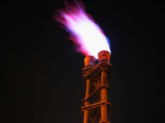 {{brizy_dc_image_alt entityId=